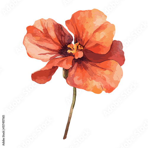 Hibiscus clip art hibiscus illustration watercolor vector