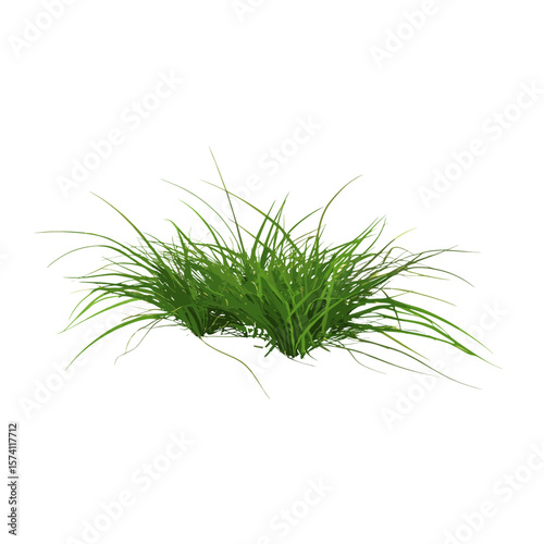 Green clump of grass illustration vegetation design vector