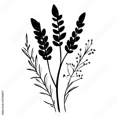 Floral element drawing sketch plant vector