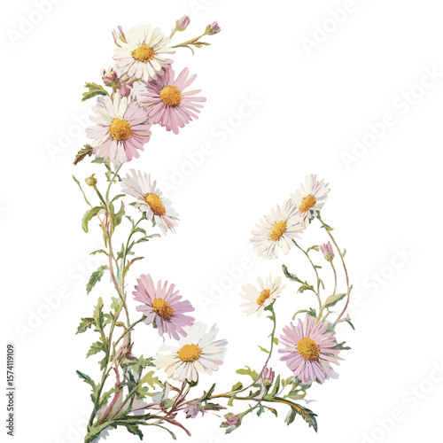Daisy flowers frames daisy art colors vector