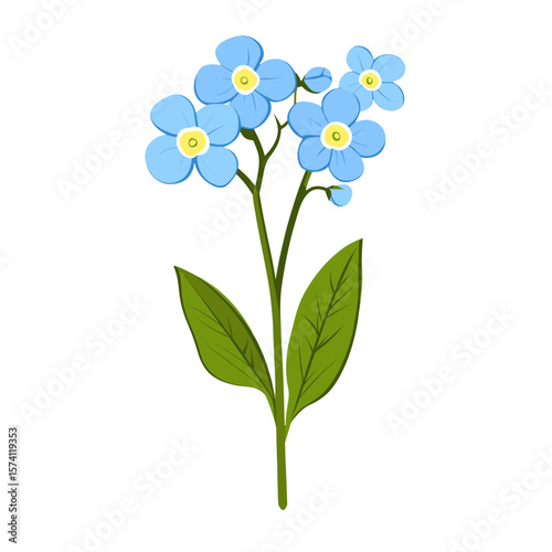 Blue Forget-Me-Not Flower flower forget-me-not illustration vector