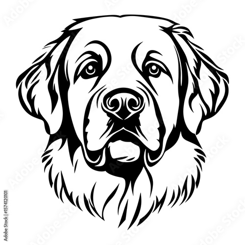Art illustration drawing sketch vector