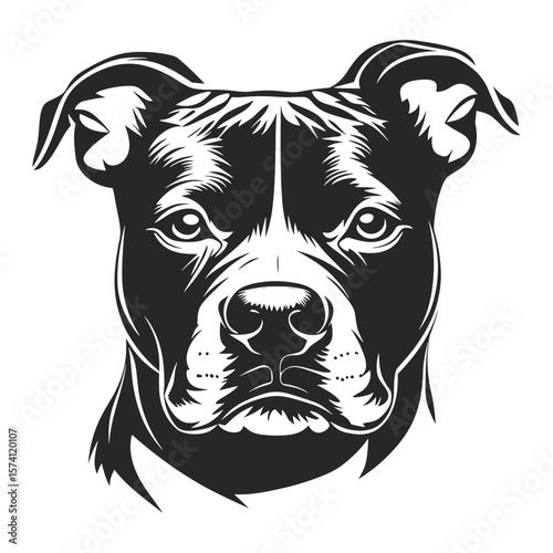 American Pit Bull Terrier face linear illustration animal black vector