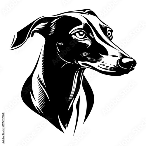 Art illustration greyhound animal vector