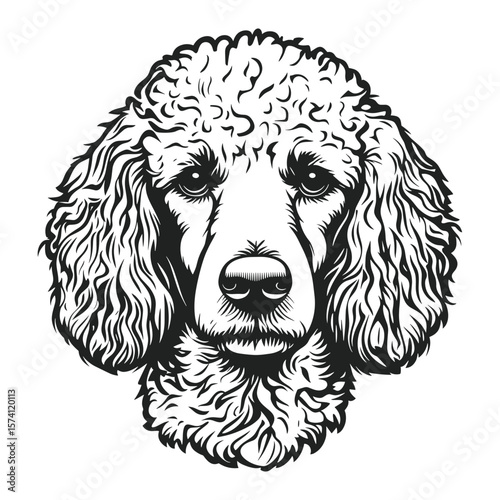 Poodle face linear art illustration drawing vector