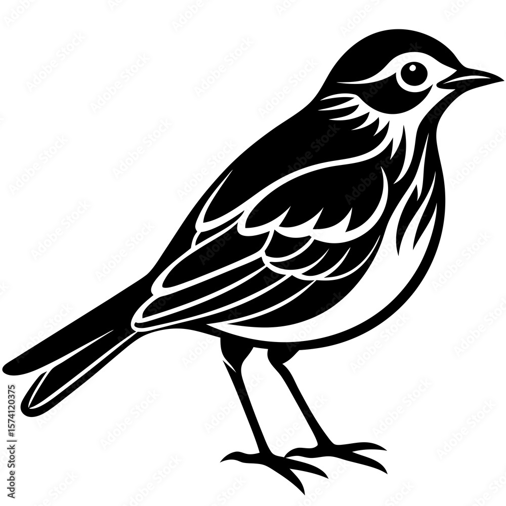 Fototapeta premium vector illustration of a bird