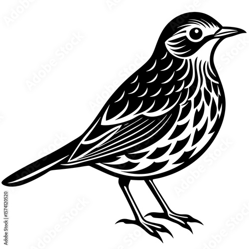 bird on a branch