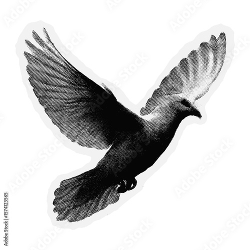 Monochrome dove silhouette illustration  vector