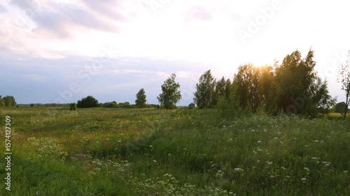 Beautiful summer rural landscape with evening sun. Nature background