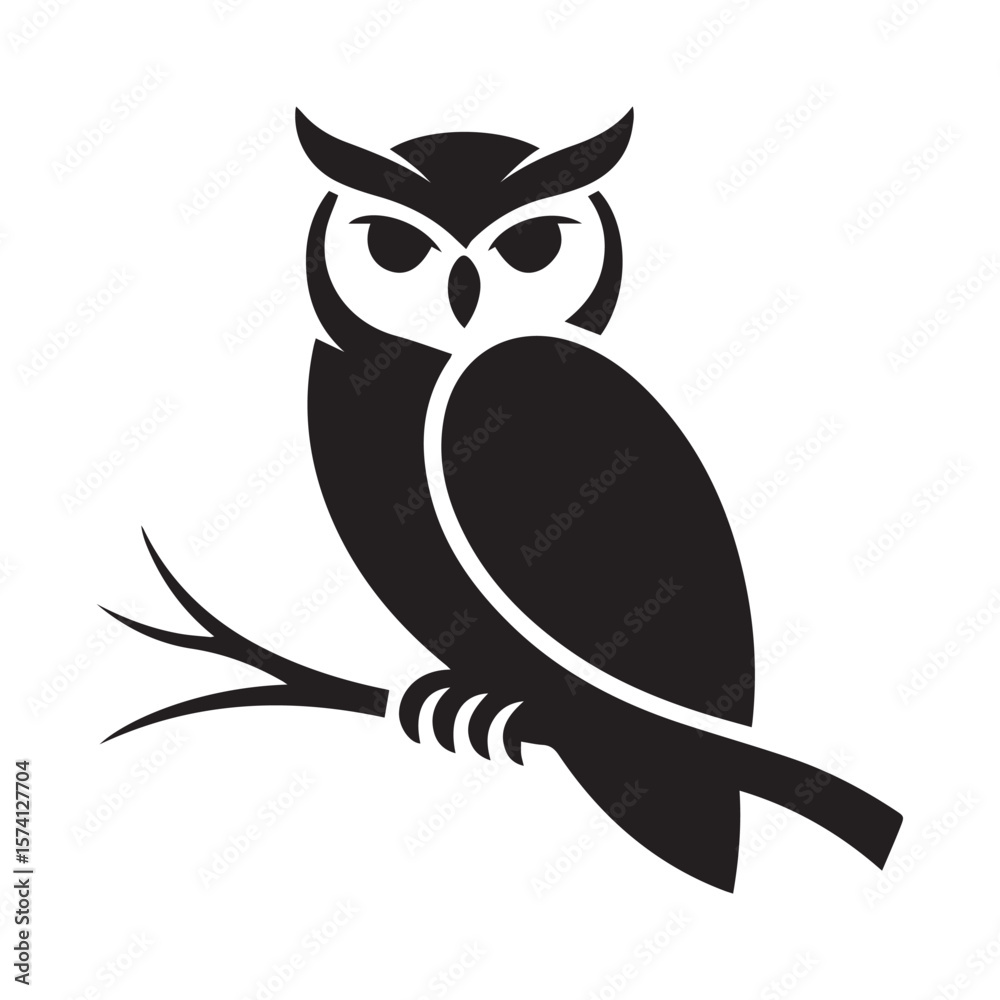 Fototapeta premium owl on branch