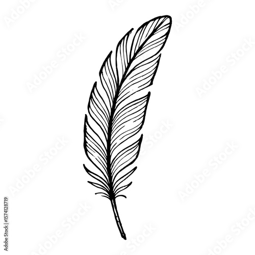 Elegant feather line art illustration vector