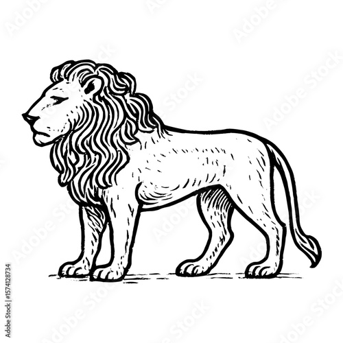 Majestic lion illustration art vector