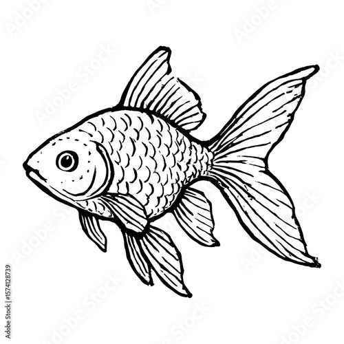 Detailed hand-drawn fish illustration vector