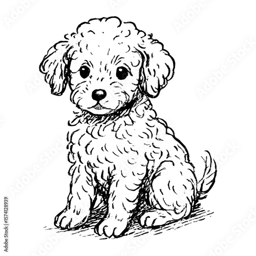 Adorable curly-haired puppy sketch vector