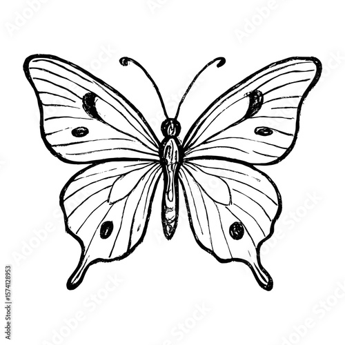 Elegant butterfly sketch illustration vector