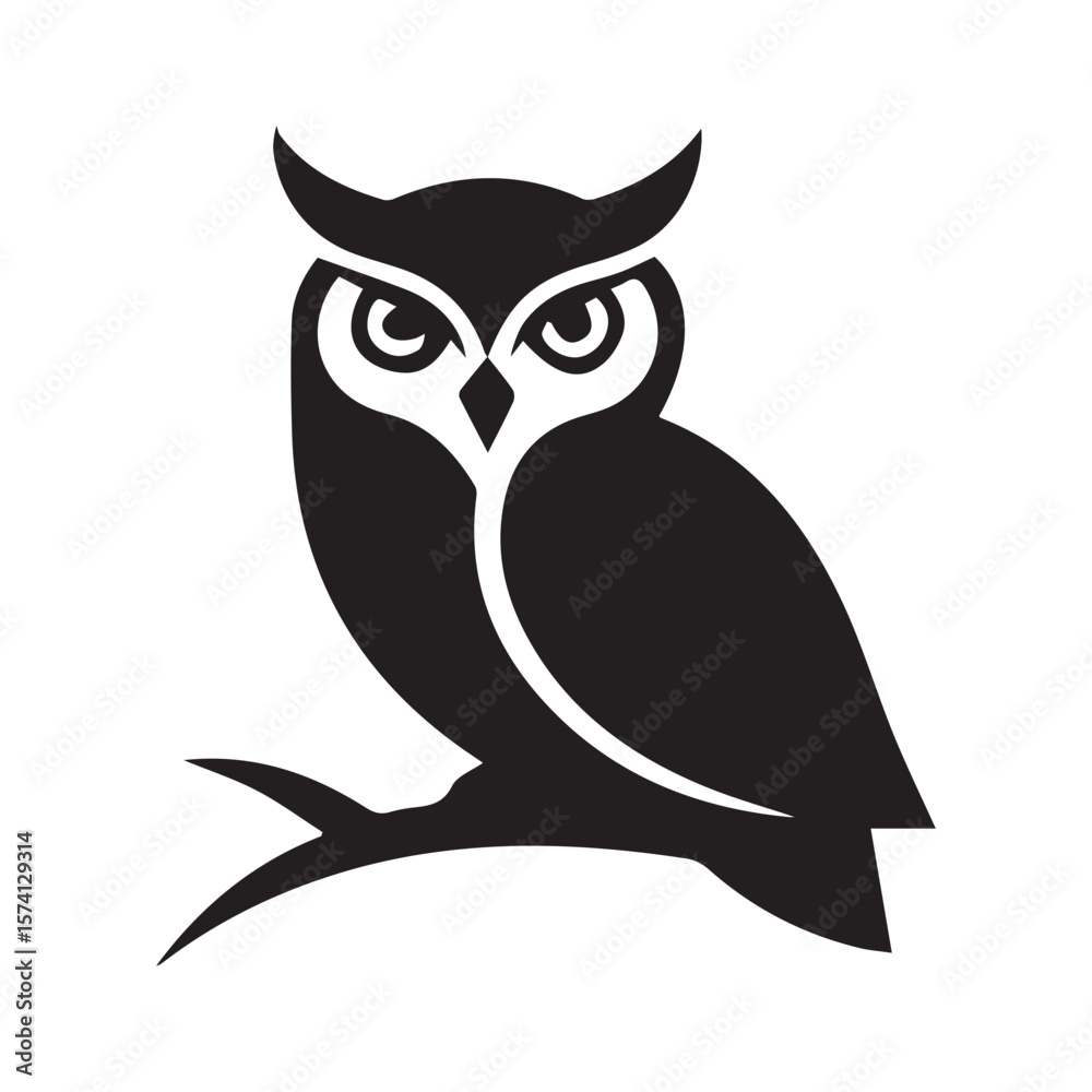 Fototapeta premium owl on white background