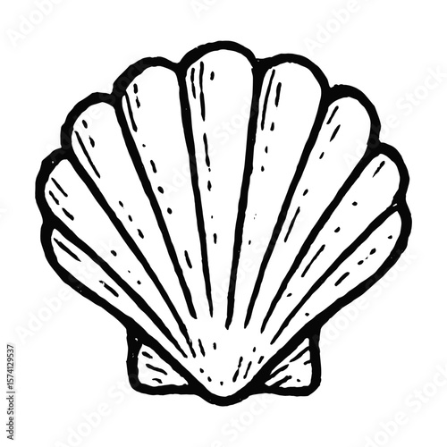 Vintage seashell line art vector