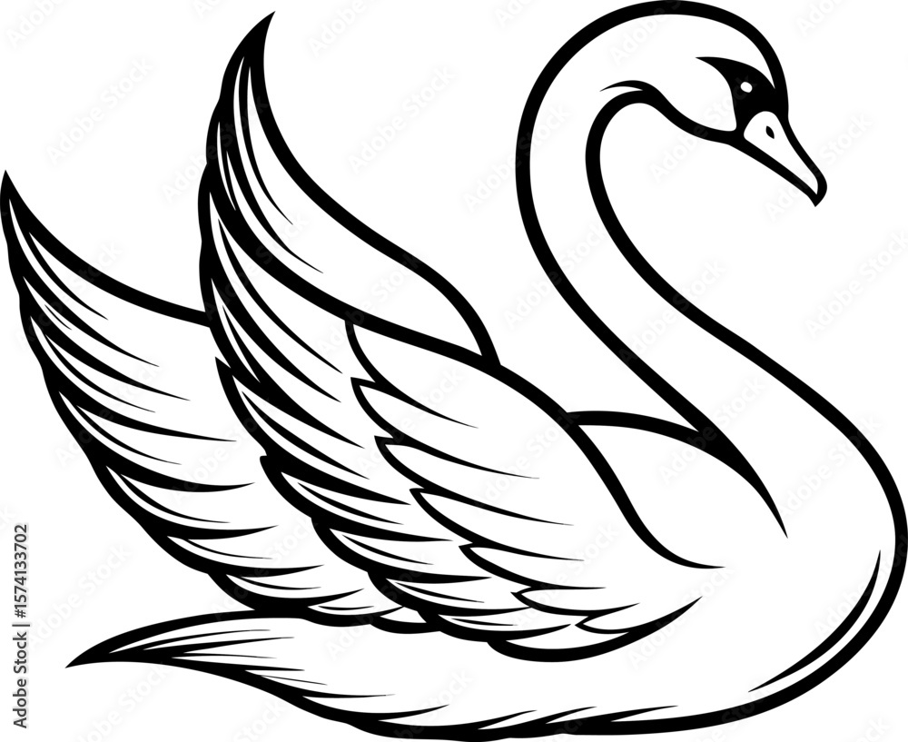 Obraz premium black swan vector