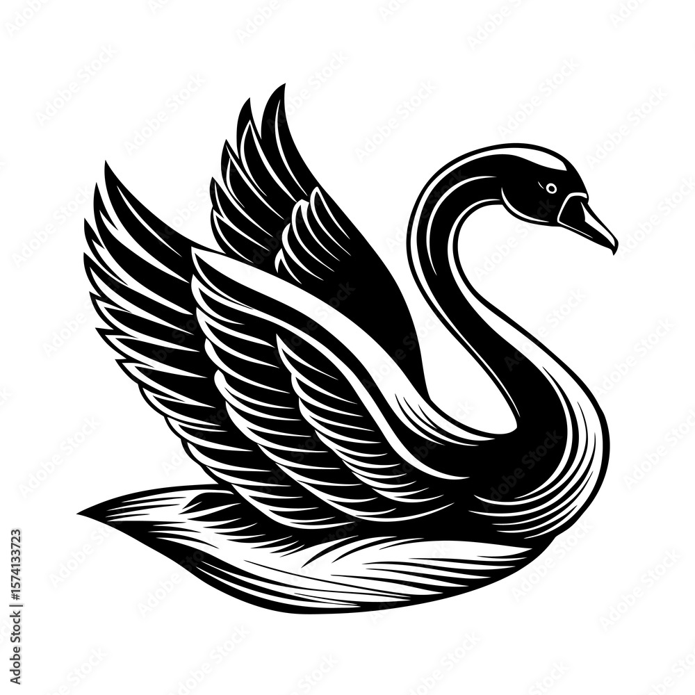 Obraz premium black and white swan