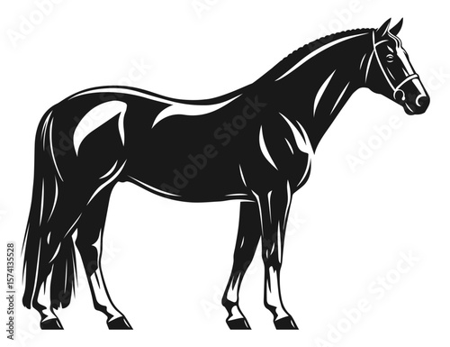 Elegant black horse silhouette in side view with shiny highlights and braided mane on white background