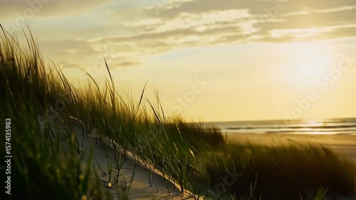 Golden Tranquility, Grass on a Dune at Sunset by the Ocean, Capturing Peaceful Scenery