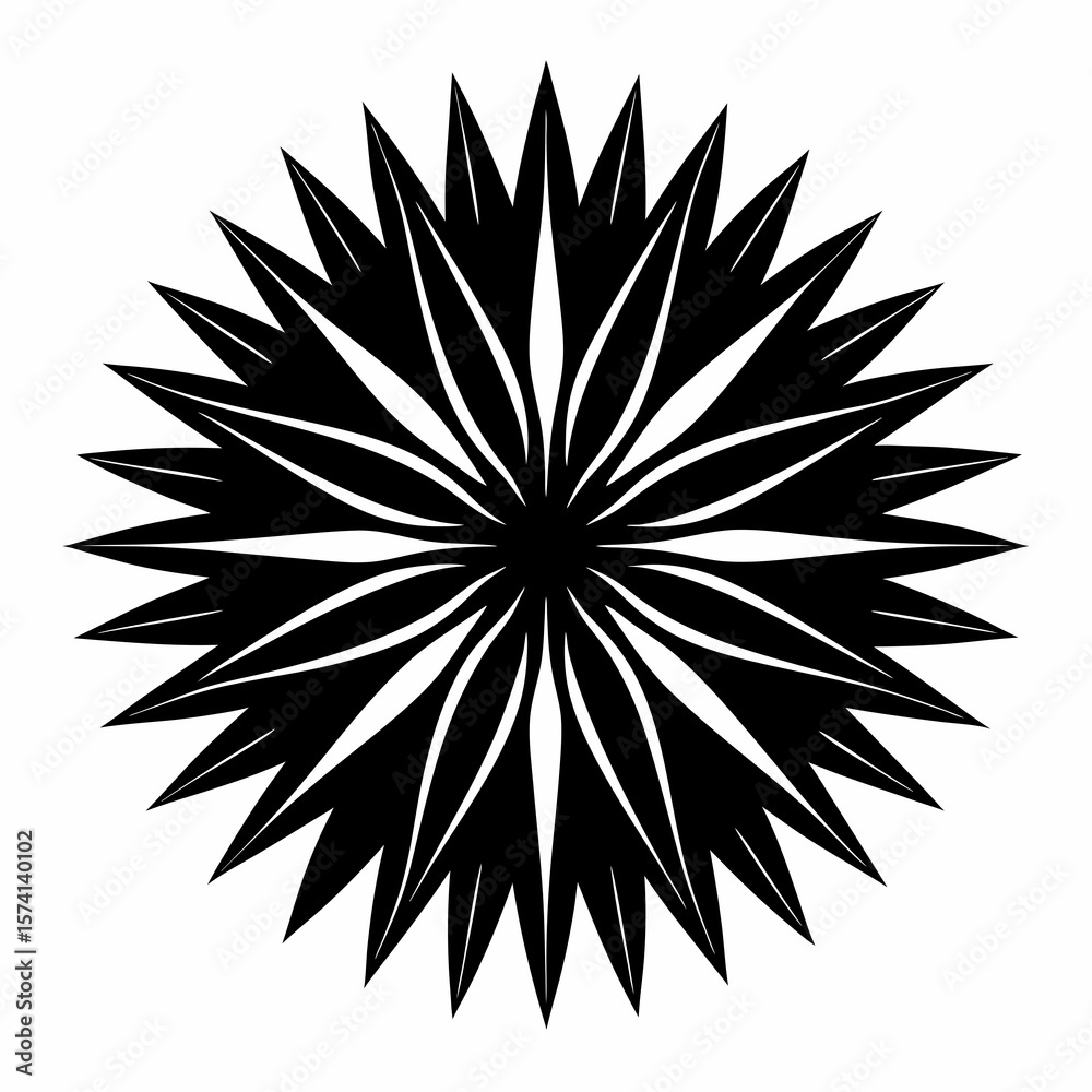 Fototapeta premium black and white snowflake