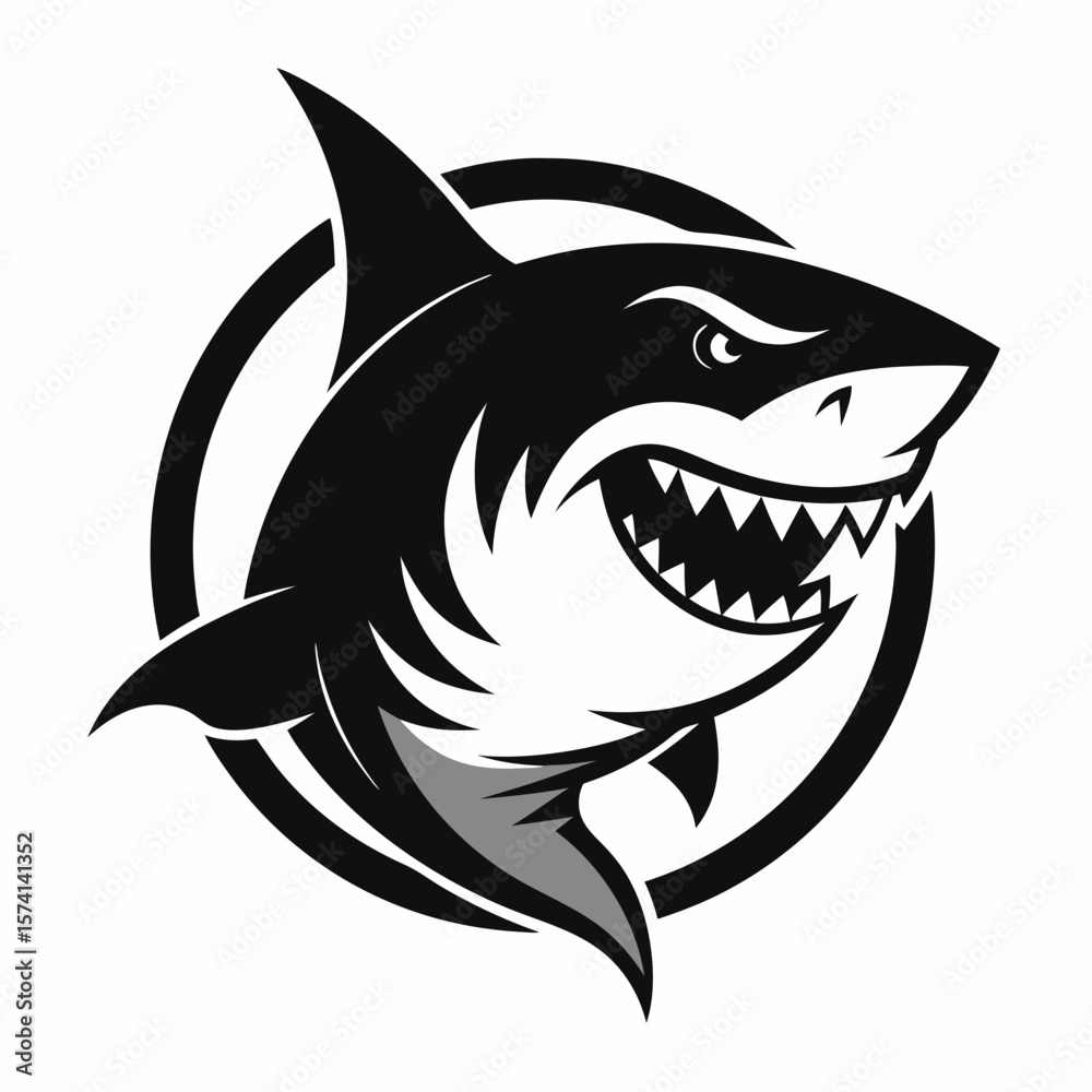 Fototapeta premium shark vector illustration