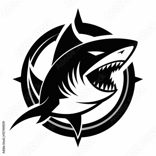 vector illustration of a shark