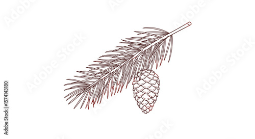 Winter Pine Branch With Fir Cone Detailed Drawing Minimalist Nature Art