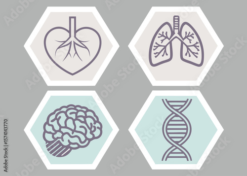Medical Icons Heart Brain Lungs and D N A on Hexagons