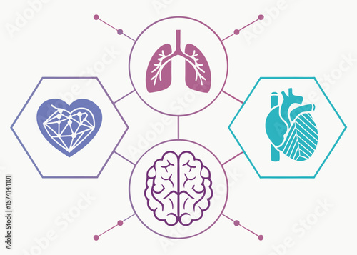 Medical Infographic with Stylized Heart Lungs Brain and Anatomy Icons