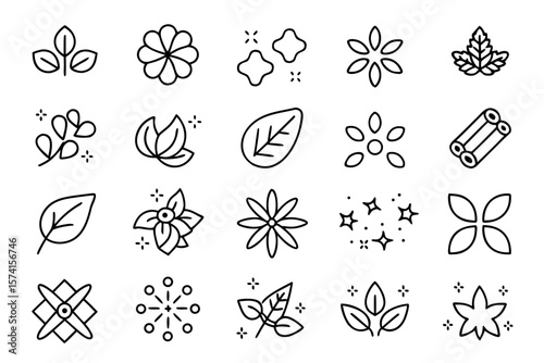 Collection of elegant linear outline symbols representing various culinary herbs and aromatic spices perfect for food related branding and informational graphics