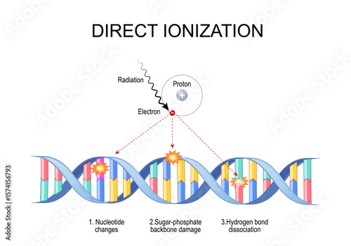 dna and Direct ionization.