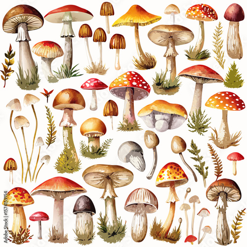 seamless pattern of mushrooms