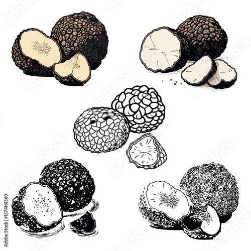 
set of black vector silhouettes of mushrooms truffles