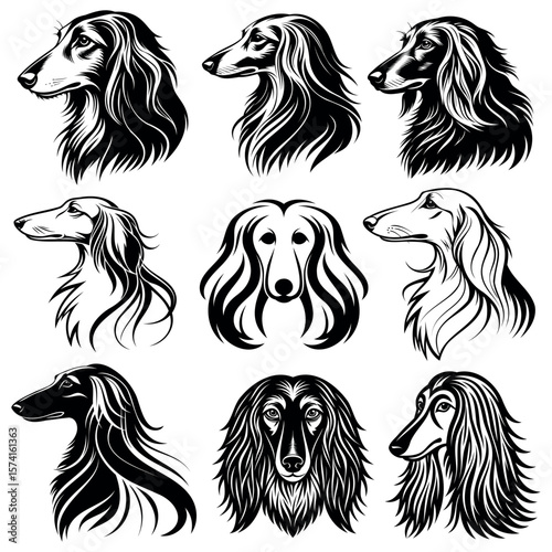 
set of vector silhouettes of dogs of breed Australian and Afghan hound