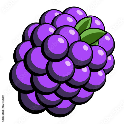 A cluster of plump purple berries with green leaves fruit healthy