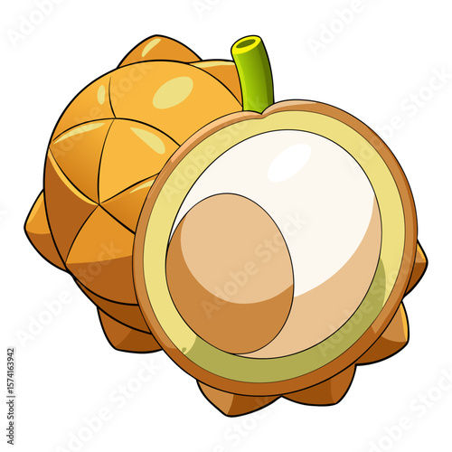 Orange fruit with green stem and sliced interior vector