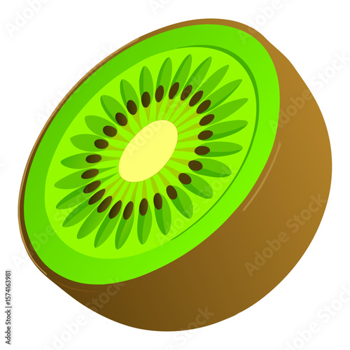 Slice of kiwi fruit with brown skin and green flesh vector