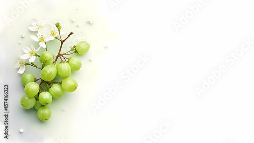 Wallpaper Mural Fresh Green Grapes with White Blossoms on Banner.
Winery and Vineyard Marketing Background with Grapes.
Light and Fresh Summer Fruit Banner with Copy Space.
 Torontodigital.ca
