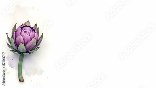 Wallpaper Mural Elegant Purple Artichoke on a White Background.
Gourmet Vegetable and Farm-to-Table Concept.
Fresh Botanical Artichoke with Ample Copy Space.
 Torontodigital.ca
