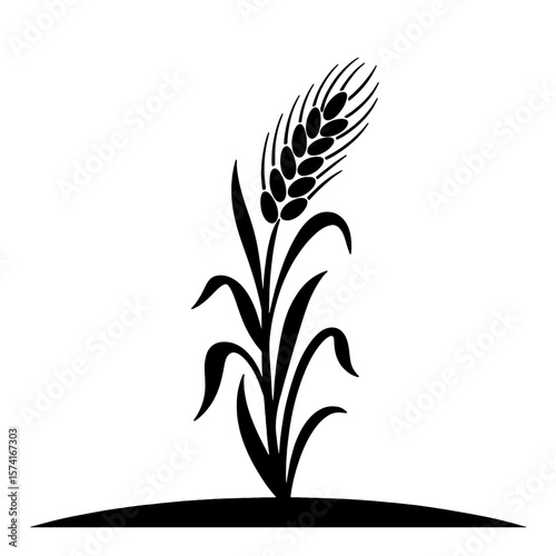 Growing Wheat Stalk: Organic Cereal Grain & Agriculture Symbol