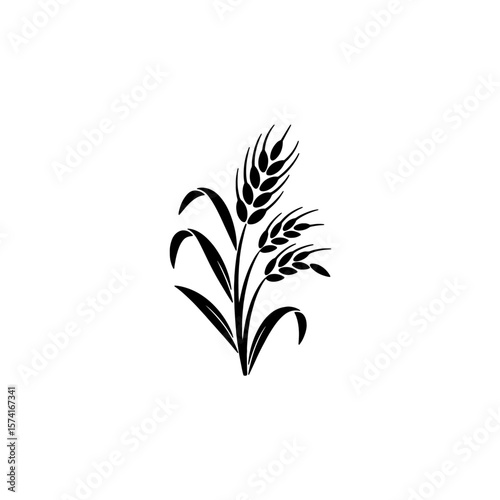  Bundle of Wheat Ears: Organic Grain, Harvest, Agriculture Symbol