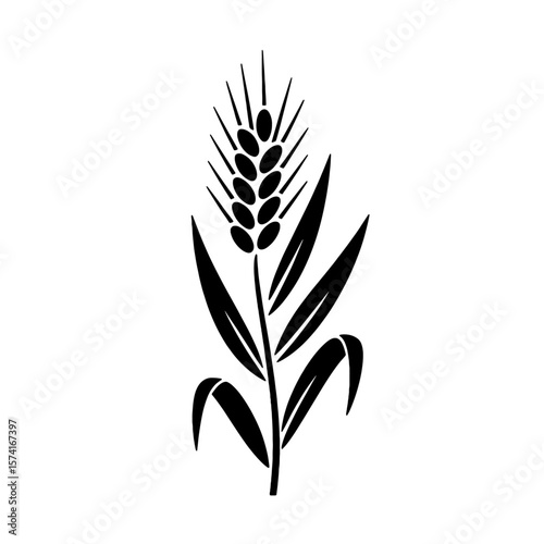 Detailed Wheat Stalk: Organic Grain, Agriculture, Harvest Symbol