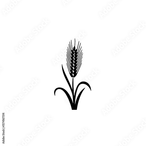  Wheat Ear Icon: Organic Grain, Agriculture, Harvest Symbol