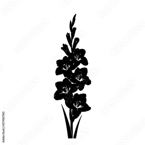 Dark Purple Gladiolus Flowers: Elegant Floral Design with Water Droplets