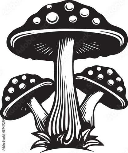 mushrooms vector illustration