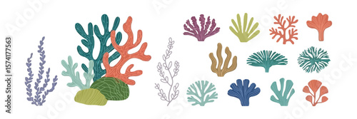 Colorful Seaweed, Coral and Algae Collection on White Background, Various Shapes