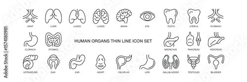 Human Organs Icon Set with Thin Line Style Including Brain, Heart, Lungs and Eye