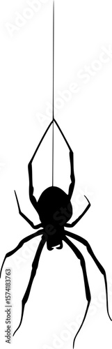 Hanging Spider with Web Halloween Vector Design